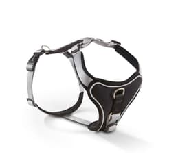 Wolters Geschirr Professional