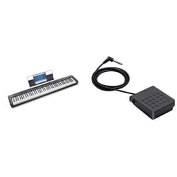 Casio CDP-S110