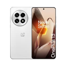 OnePlus 13