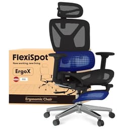 Flexispot C7 Air Pro