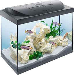 Tetra Starter Line 80 L