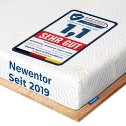 Newentor Topper H2 H3 Ergo-Viscoschaum