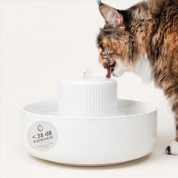 LucyBalu Trevi Katzenbrunnen aus Keramik 2,8 L weiß