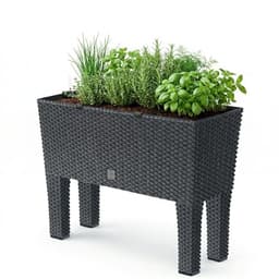 Prosperplast Blumenkasten Rato Case High inkl. Bewässerung und abnehmbaren Beinen, Anthrazit, 25 x 60 x 46 cm